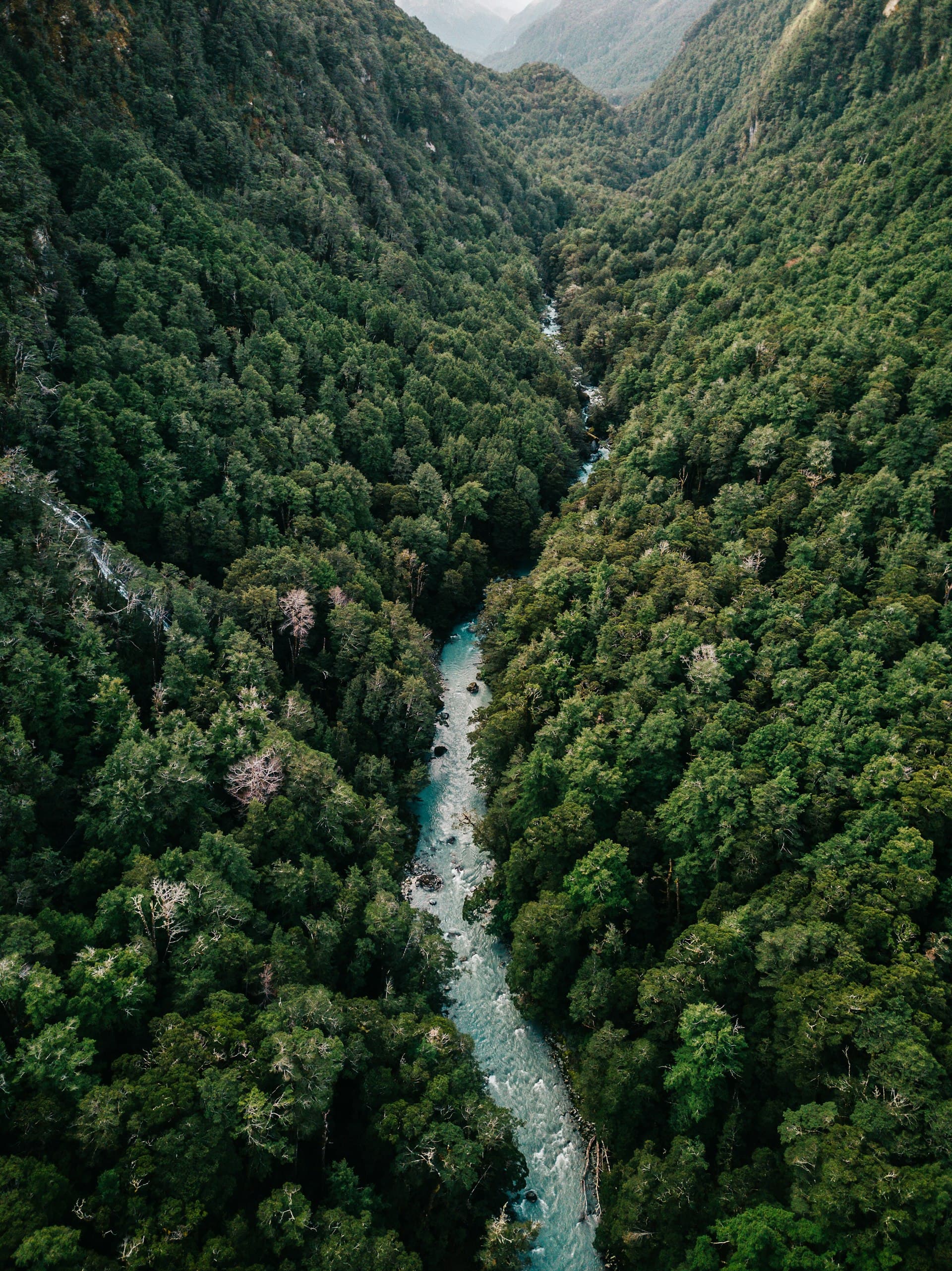 North Island Discovery