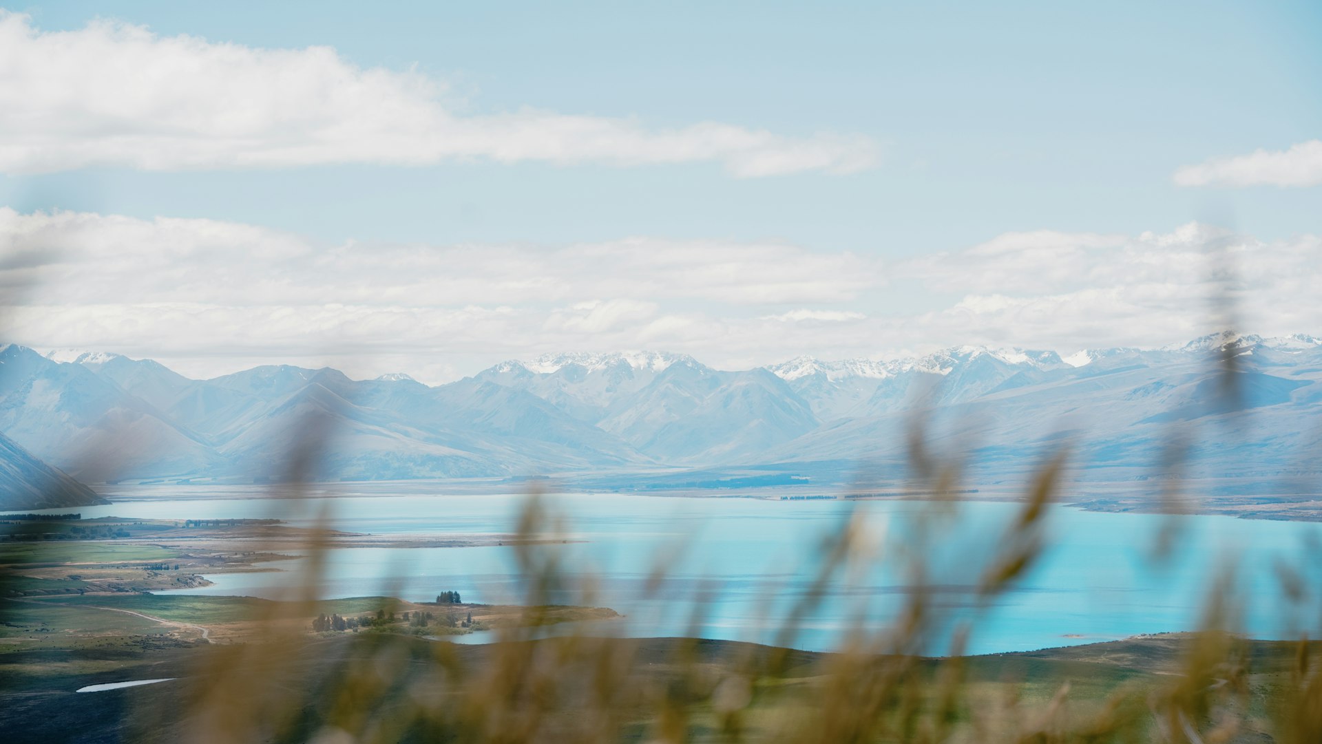 Autumn gold along Lake Tekapo